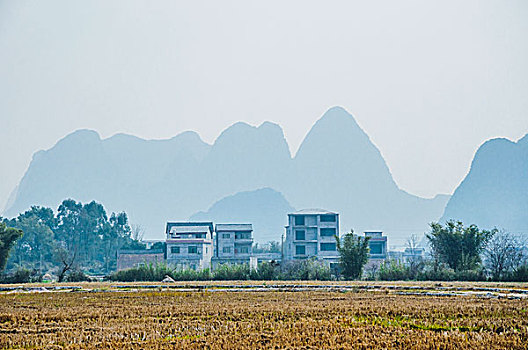 soi cau rong bach kim mb