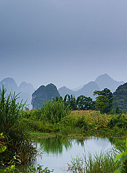 bach thu lo kep mb