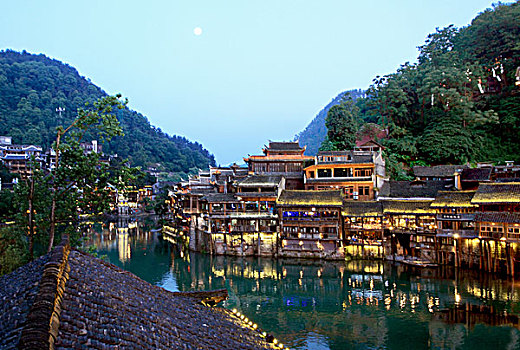 cau bạch thu hom nay