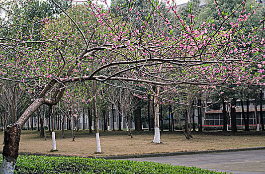 xsmb thu nam