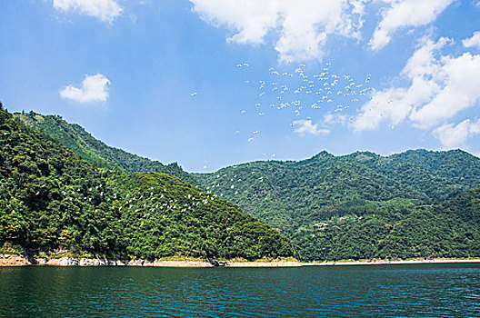 xskt kiên giang