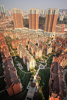 bạch thủ ngày hôm nay