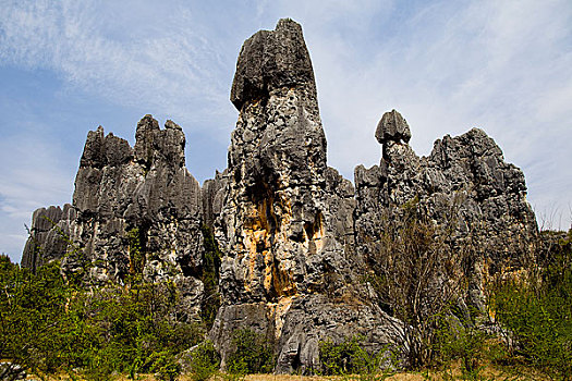 soi cau lo kep