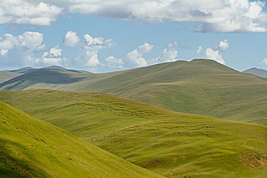 soi cau lo kép