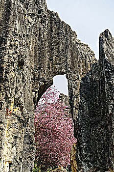 xổ số power