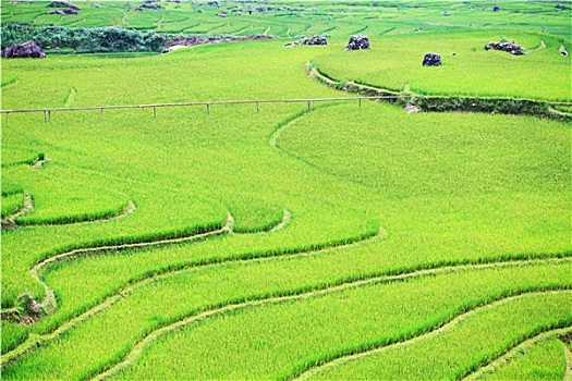 soi cầu 568