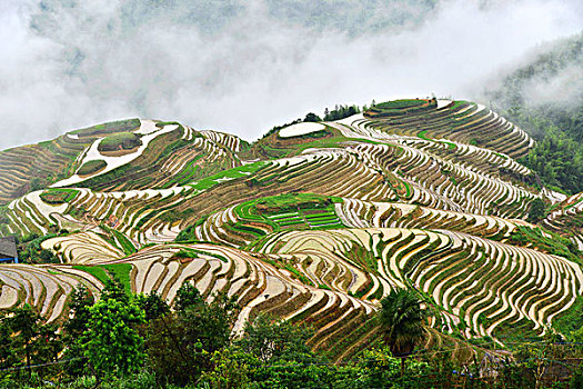xsmb hom nay truc tiep mien bac hom nay truc tiep minh ngoc