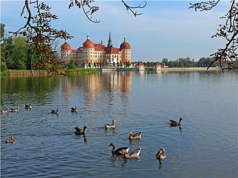 amsterdams casino