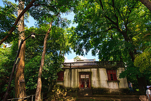 lô bạch thủ miễn phí