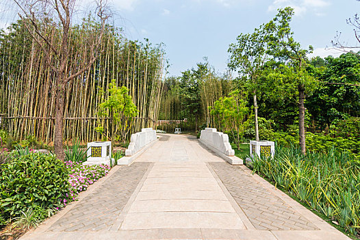 bạch thủ lô hôm nay miễn phí