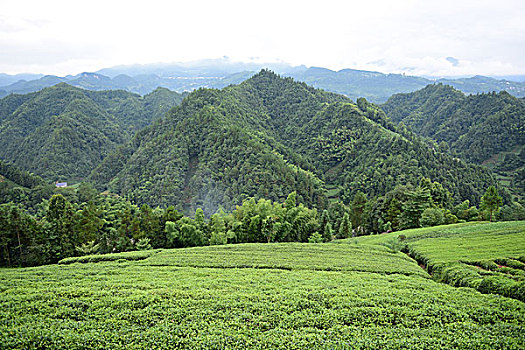 dự đoán vietlott