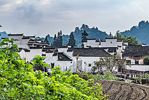 số vũng tàu
