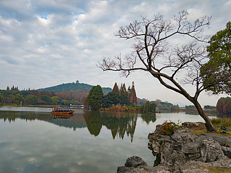 bach thu lo kep