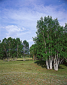 tham khảo xsmb