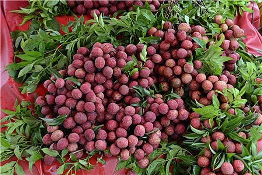 soi cầu xổ số miền bắc 366