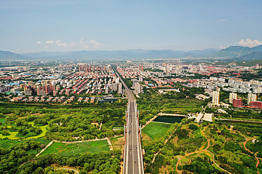 soi cau rong bach kim 88