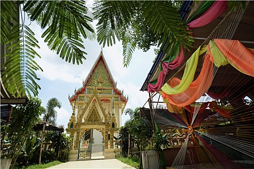 soi cau mb sieu chuan