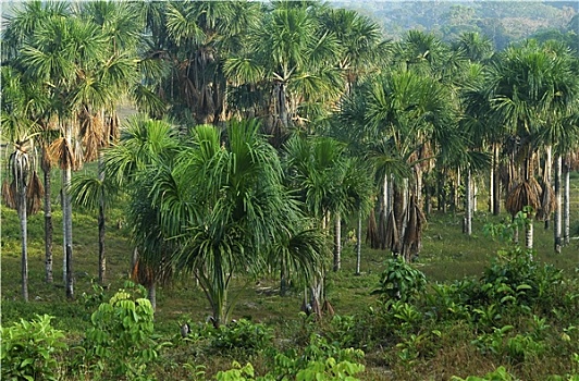 soi cầu xổ số hôm nay