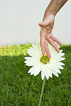 thống kê bạch thủ