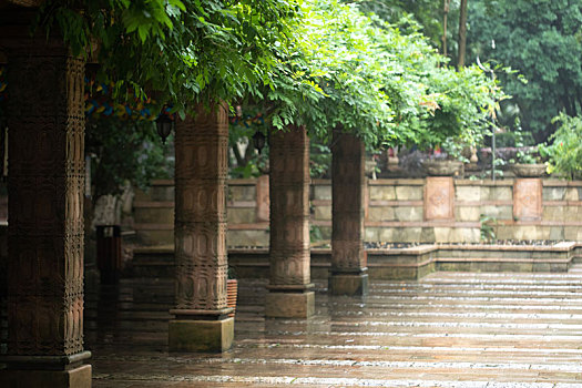 soi cau bach thu mien bac hom nay