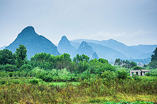 soi cau 8785