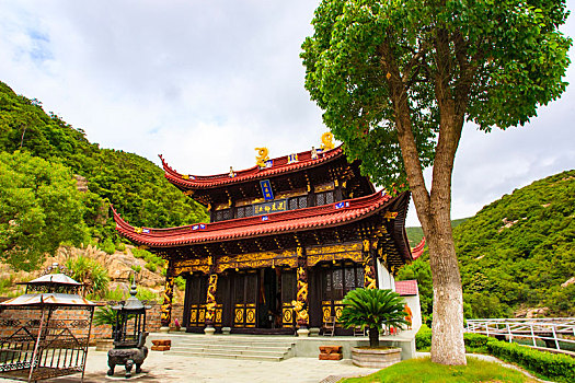 bạch thủ lô hôm nay là con gì