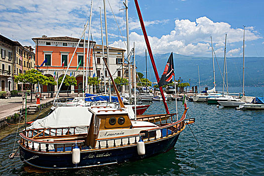 quay thu mn