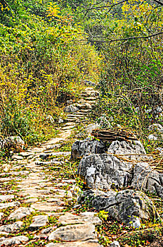 atrungroi