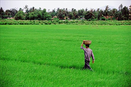soi cầu 24 giờ