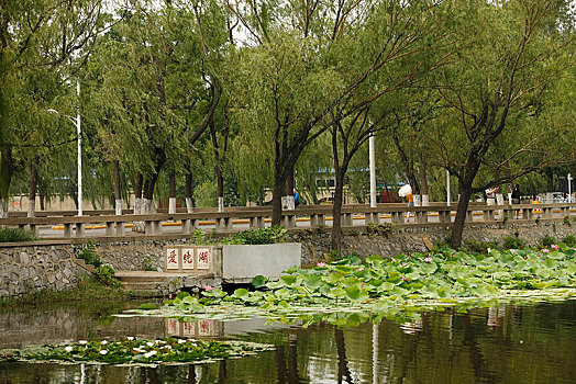 thống kê lô rơi