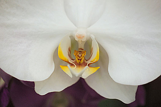 soi cầu đề hôm nay