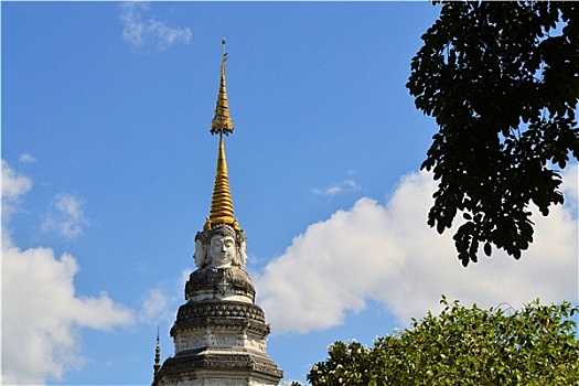 bach thu lo kep mien bac