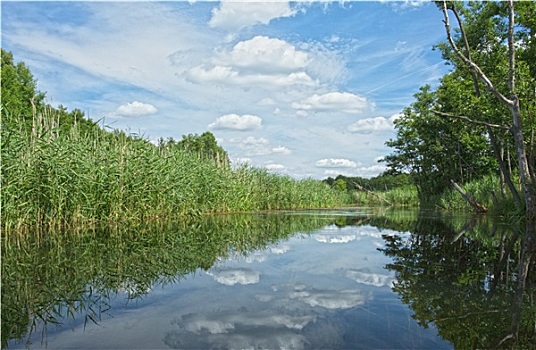 số đề đẹp hôm nay