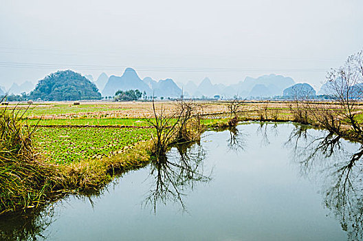 xổ số hồ chí minh