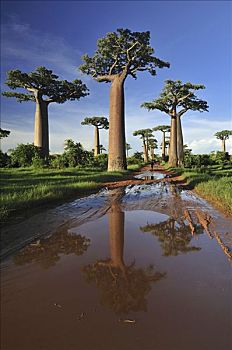 xosokienthiet