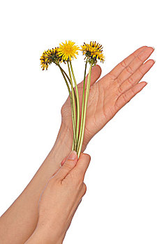 chốt số xsmb