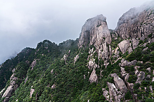 soi cau chuan