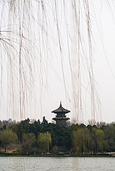 soi cau xo so binh duong