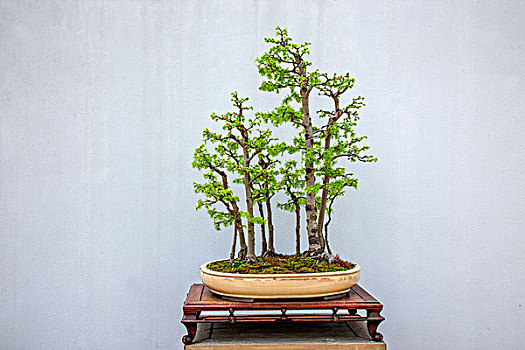 xổ số miền bắc dự đoán