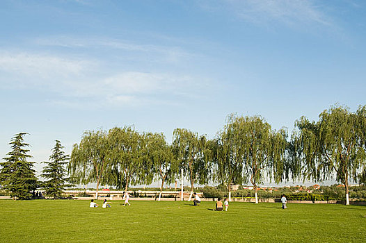 cau bach thu la