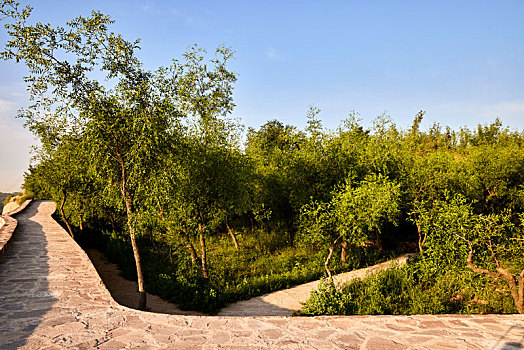 kết quả xổ số minh ngọc