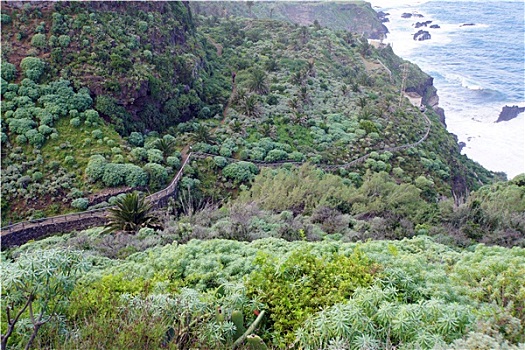 dự đoán