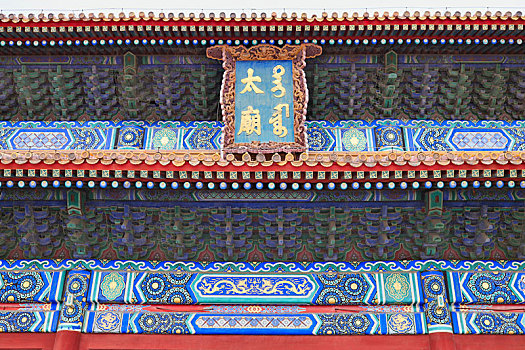 cau mb rong bach kim
