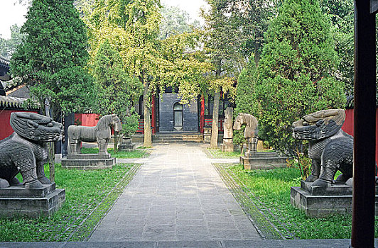 số long an