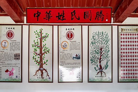 soi cau lo bach thu mien bac hom nay