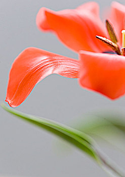 thống kê xổ số tiền giang