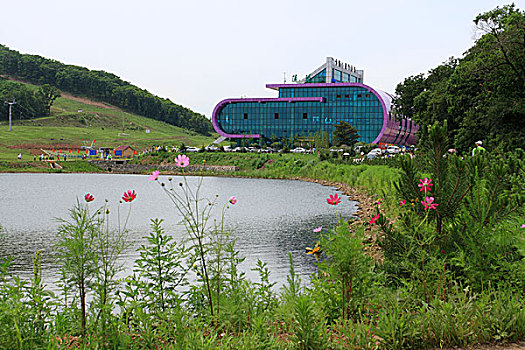 soi cau xo so vung tau