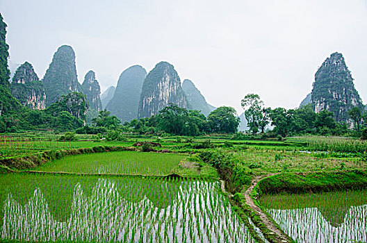 xổ số kiên giang hôm qua