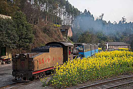 soi cau bach thu de