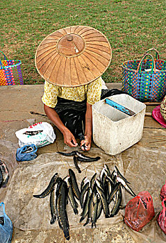xổ số hậu giang